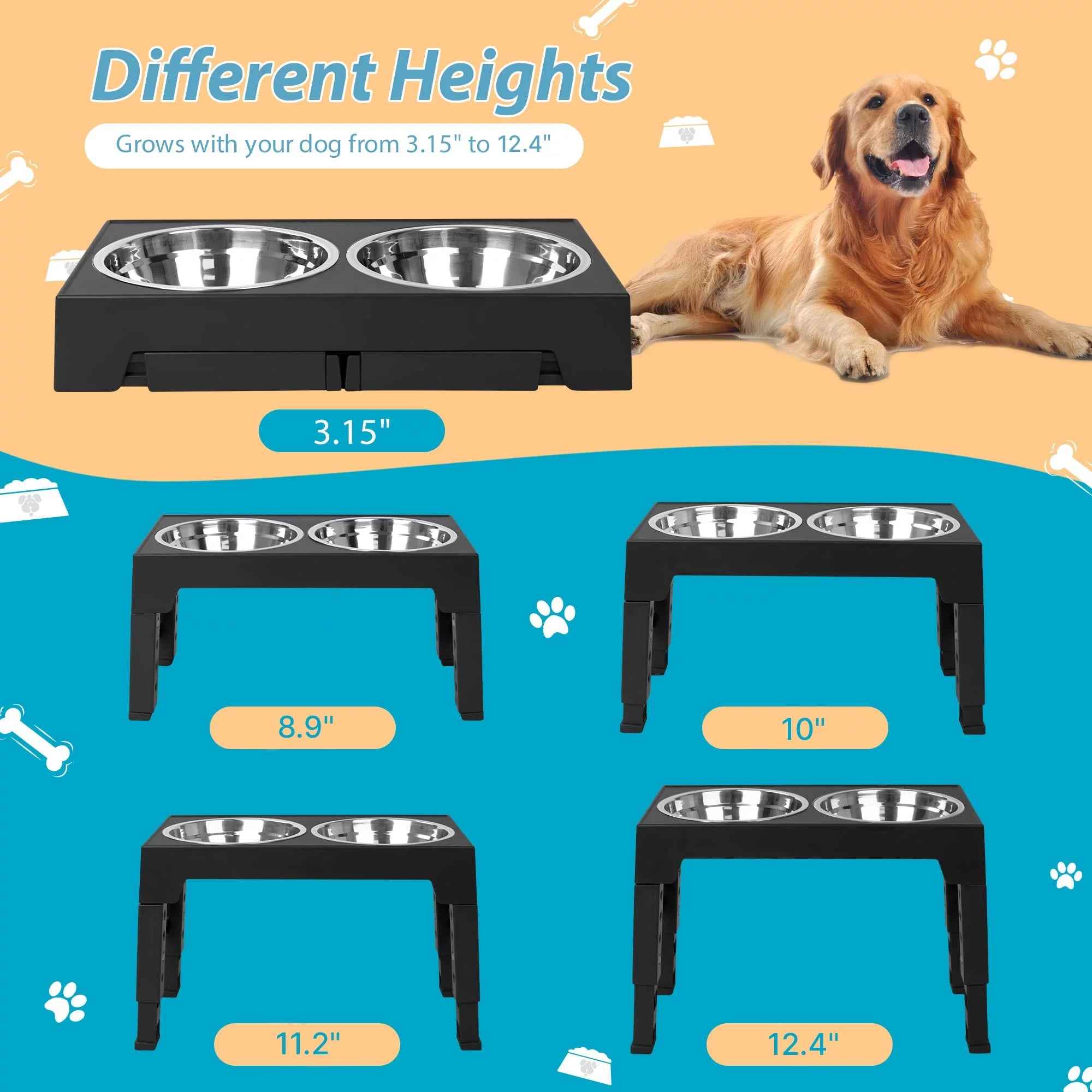 Top 10 Elevated Dog Bowl Stands with Stainless Steel Dishes