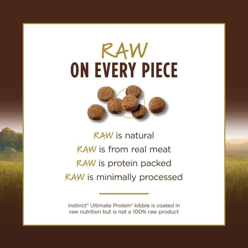 Natural Dry Cat Food, 10 Lb. Bag