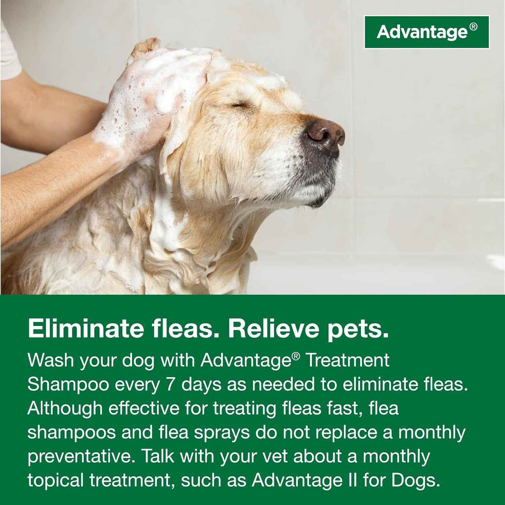 12 Oz Flea & Tick Shampoo for Puppies & Adult Dogs .