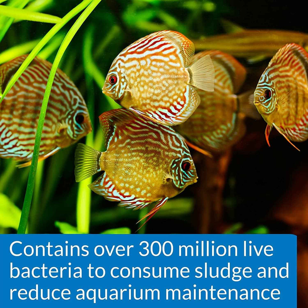 STRESS ZYME Freshwater and Saltwater Aquarium