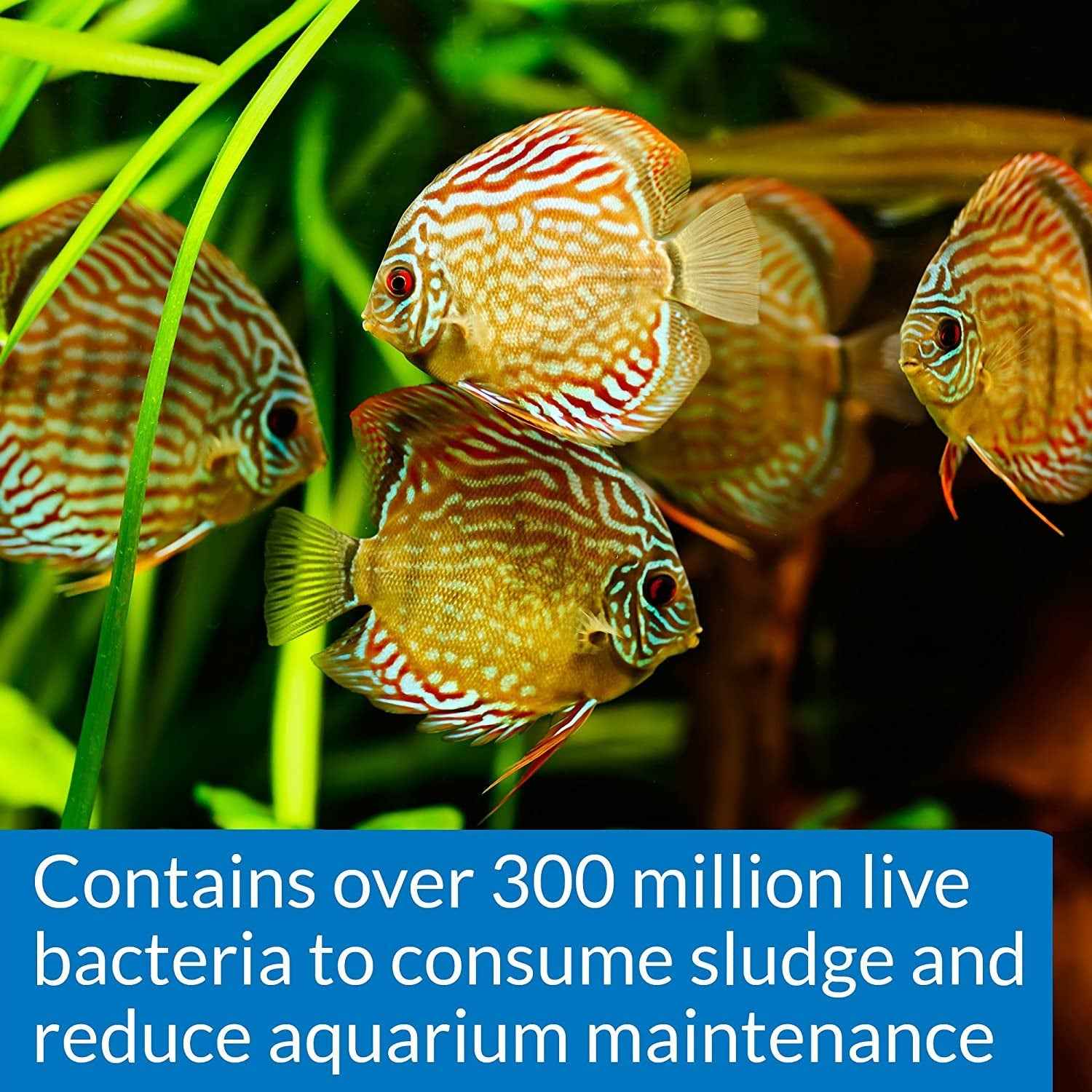 STRESS ZYME Freshwater and Saltwater Aquarium