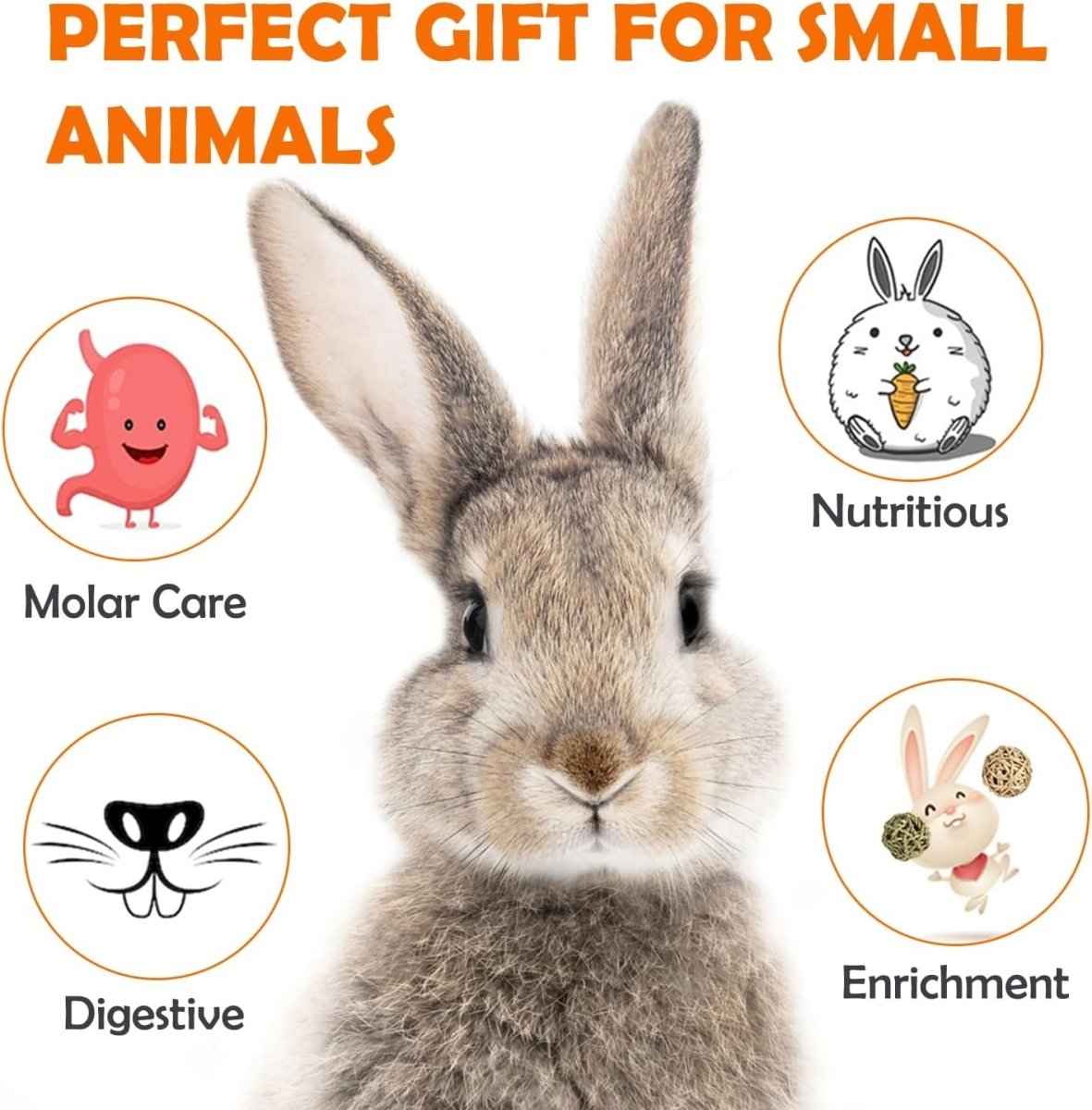 32Pcs Timothy Hay Sticks 320G Rabbit Toys Bunny, Guinea Pig Toys Natural Hamster Toys for Teeth Handmade Treats and Chews Chinchilla Rat Gerbil