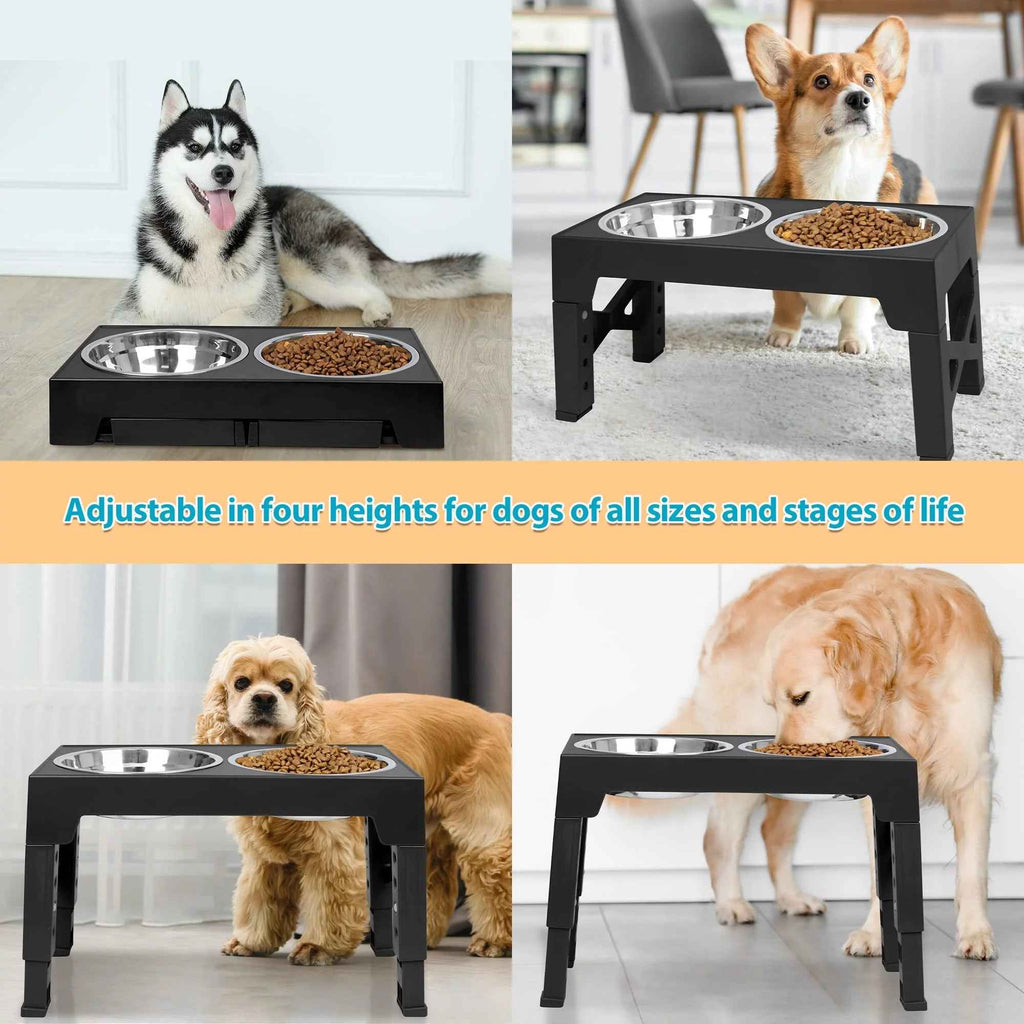 Top 10 Elevated Dog Bowl Stands with Stainless Steel Dishes