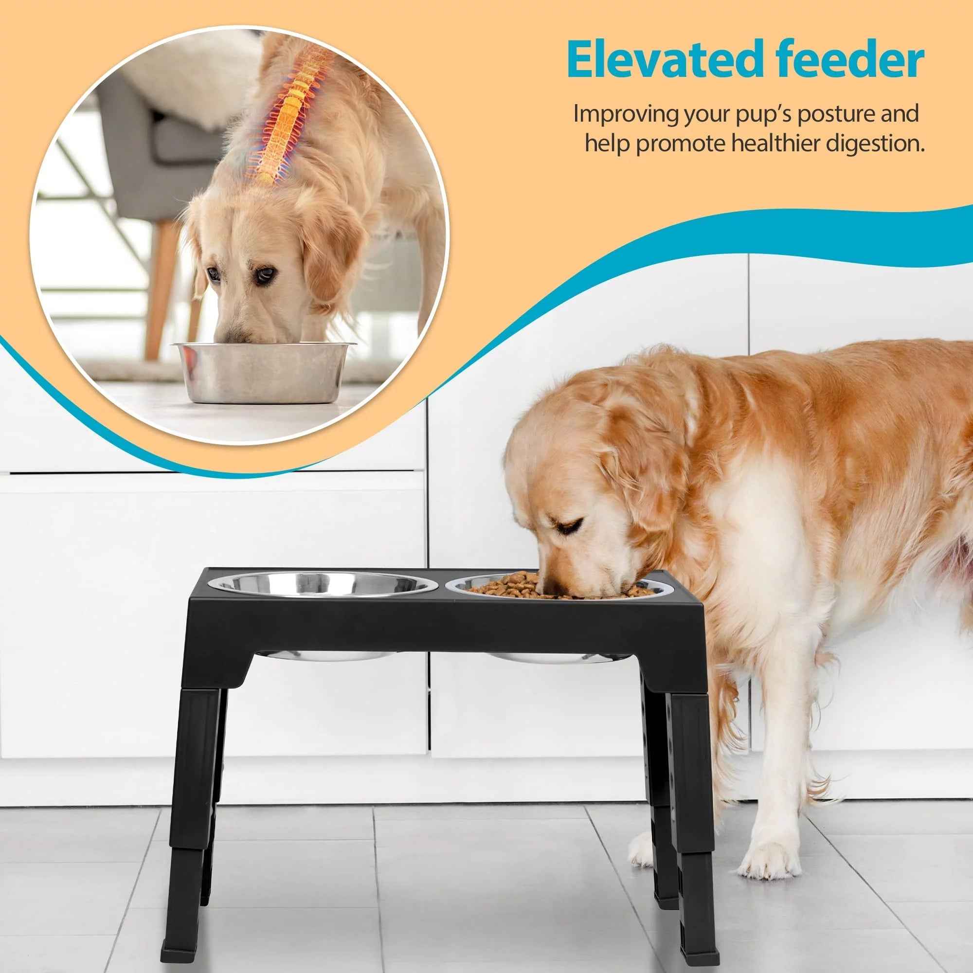 Top 10 Elevated Dog Bowl Stands with Stainless Steel Dishes