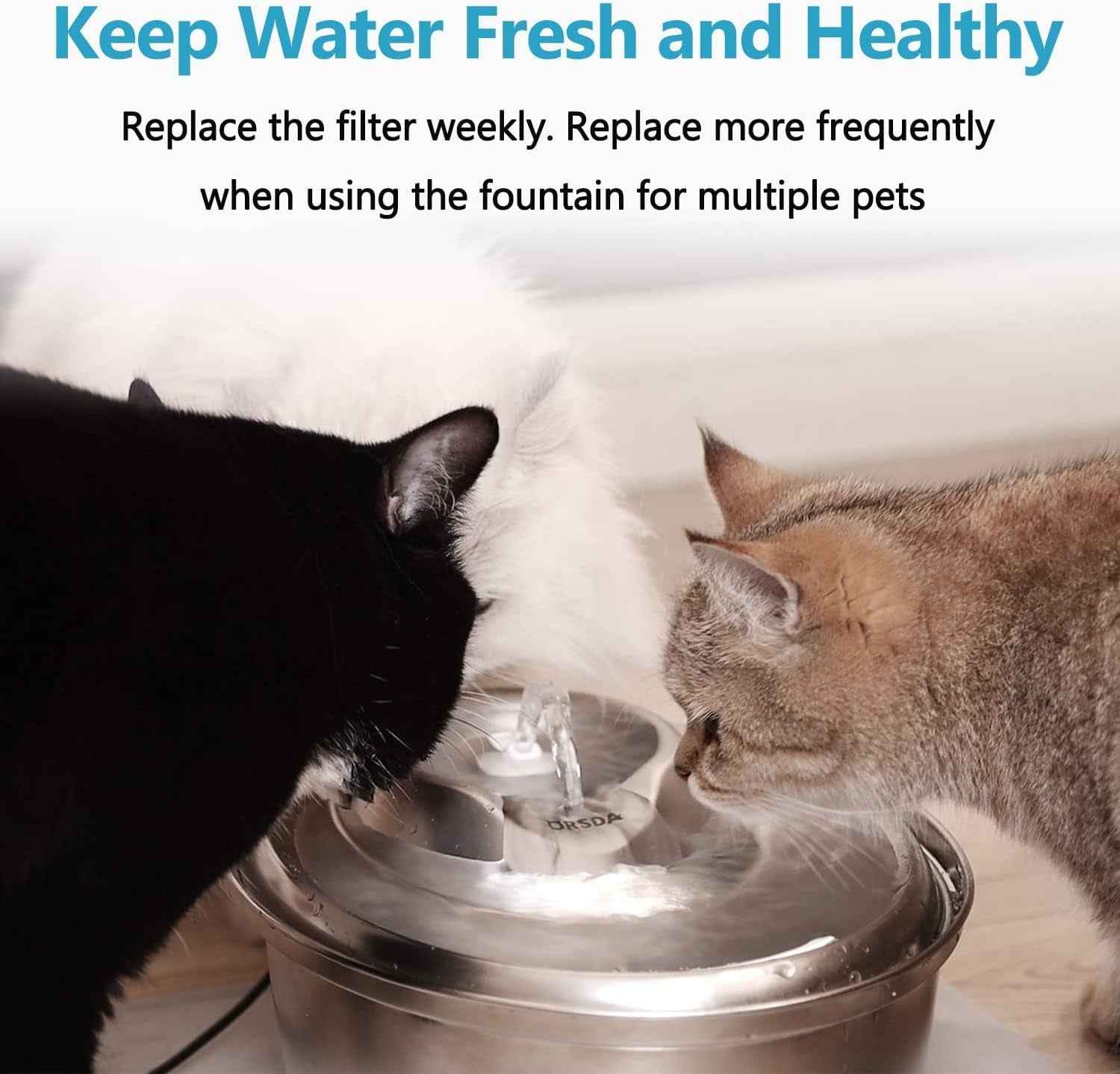 Cat Water Fountain filter