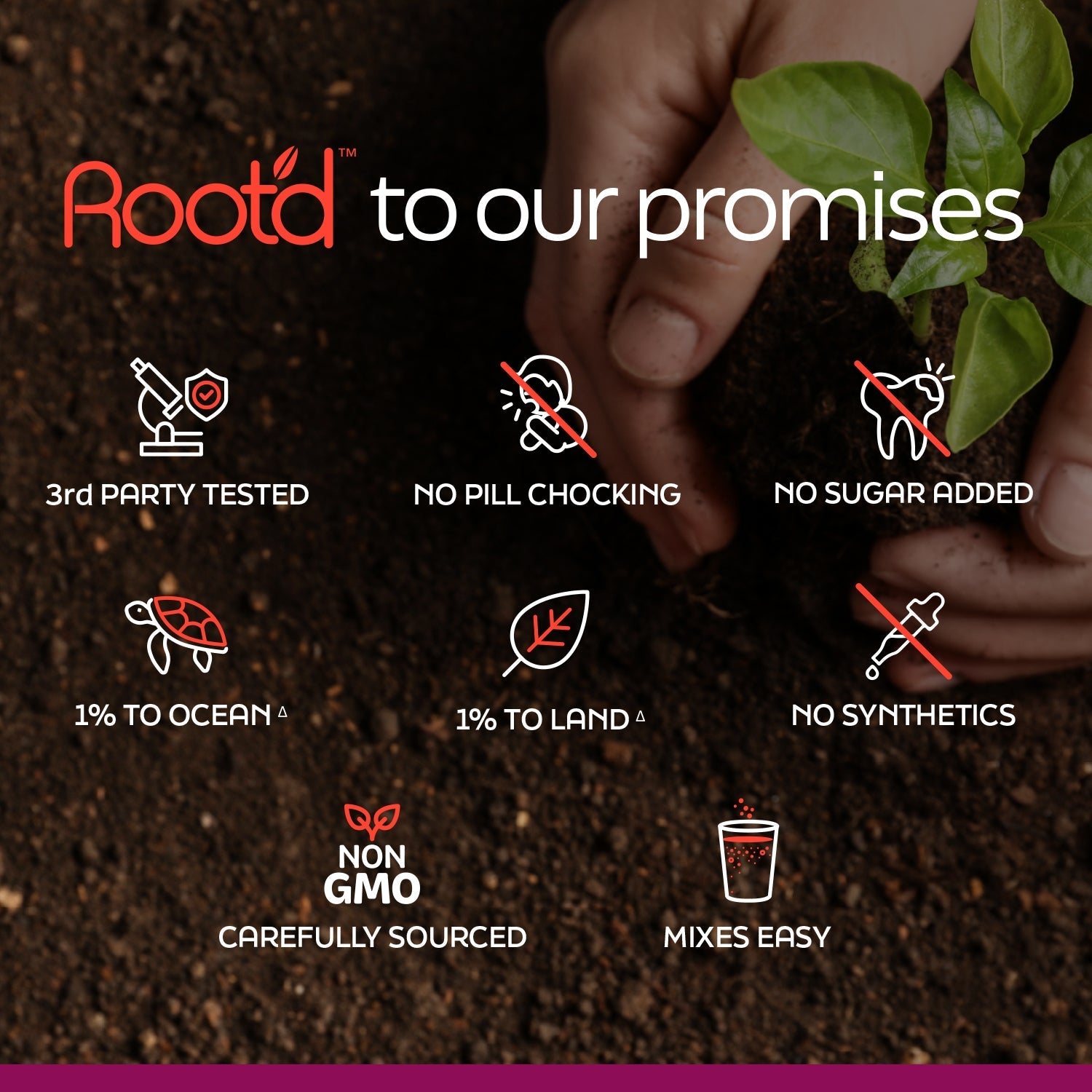 Couples Wellness Pack - Hydrating Multivitamin for Her & Him Root'd