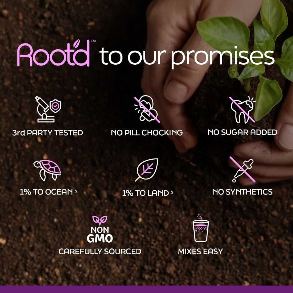 Growing Together Bundle - The Hydrating Multivitamin - For Future Mom & Dad Root'd