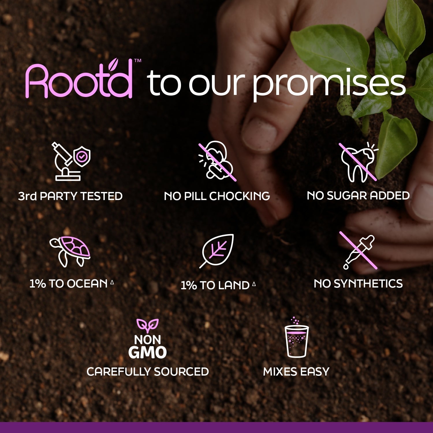 Growing Together Bundle - The Hydrating Multivitamin - For Future Mom & Dad Root'd