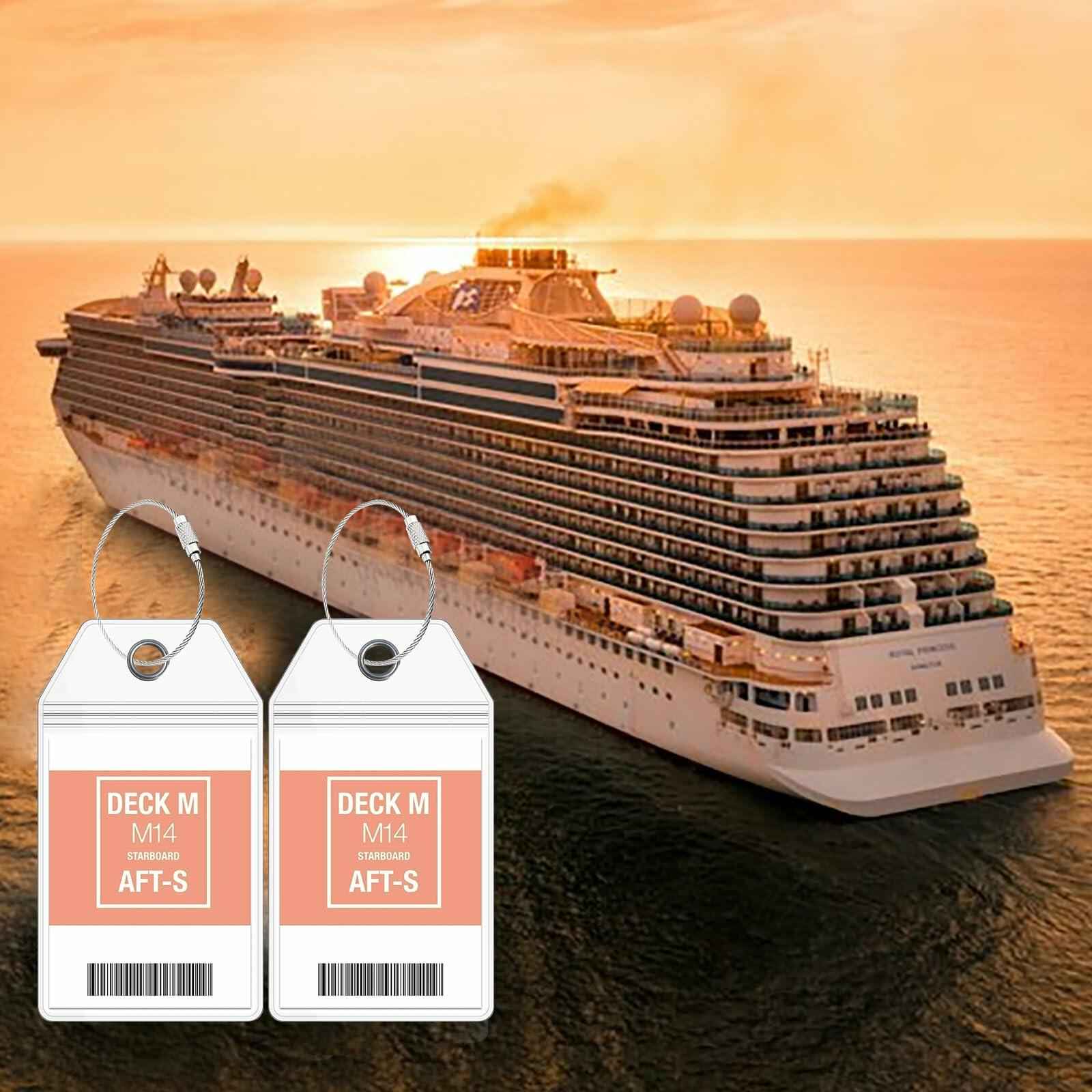 10 Pack Princess Clear Luggage Tag Holders with Steel Loops for Cruise Ships